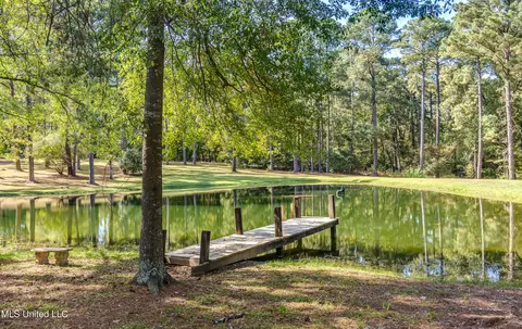 Other - 188 Webb Ln, Flowood, MS 39232 photo 29 of 29