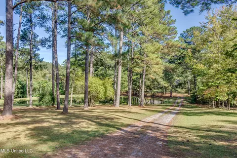 Exterior - 188 Webb Ln, Flowood, MS 39232 photo 15 of 15
