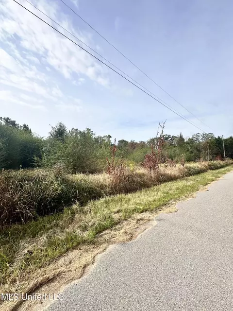 Clarence Bonnett Road, Lucedale, MS 39452