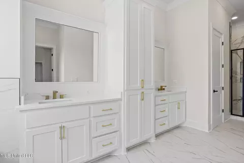 Bath - 102 Venice Cir, Madison, MS 39110 photo 1 of 9