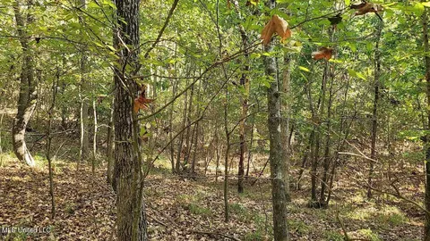 Sandy Betts Road, Nesbit, MS 38651 photo 5