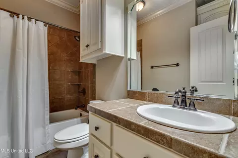 Bath - 425 Turtle Ln, Brandon, MS 39047 photo 8 of 8