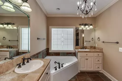 Bath - 425 Turtle Ln, Brandon, MS 39047 photo 1 of 8