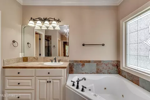 Bath - 425 Turtle Ln, Brandon, MS 39047 photo 3 of 8