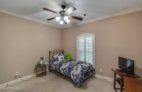 Bedroom - 425 Turtle Ln, Brandon, MS 39047 photo 9 of 11