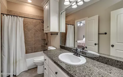 Bath - 425 Turtle Ln, Brandon, MS 39047 photo 7 of 8