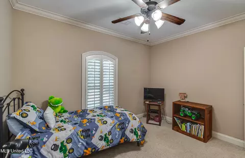 Bedroom - 425 Turtle Ln, Brandon, MS 39047 photo 8 of 11