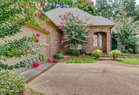 Exterior - 425 Turtle Ln, Brandon, MS 39047 photo 4 of 14