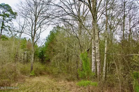 000 Sauls Rd, Ruth, MS 39662