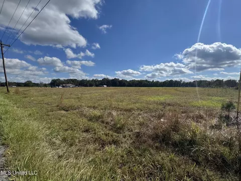 10 Ac Ellis Hodge Rd, Lucedale, MS 39452 photo 3