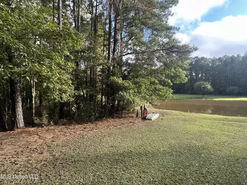 Other - 120 Five Point Ln, Terry, MS 39170 photo 14 of 16