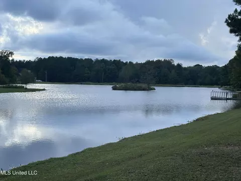 View/Area - 120 Five Point Ln, Terry, MS 39170 photo 2 of 2