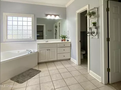 Bath - 205 Park Ridge Dr, Brandon, MS 39042 photo 2 of 3