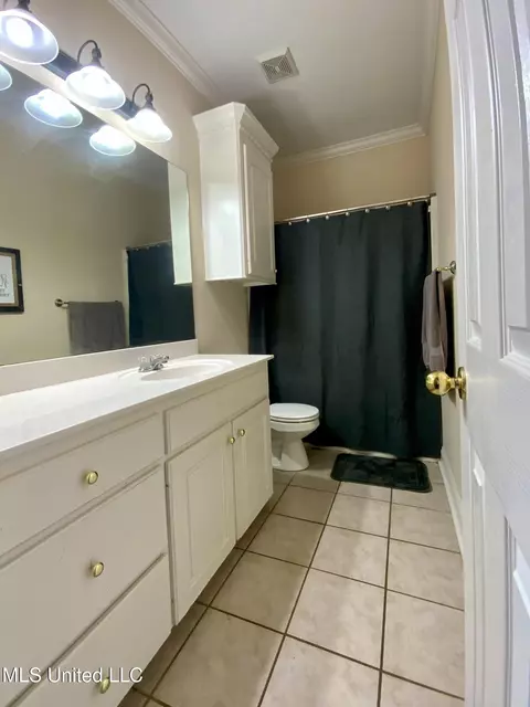 Bath - 205 Park Ridge Dr, Brandon, MS 39042 photo 1 of 3