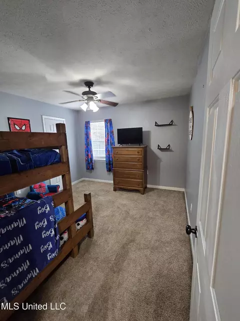 Other - 116 Windchase Dr, Brandon, MS 39042 photo 8 of 12