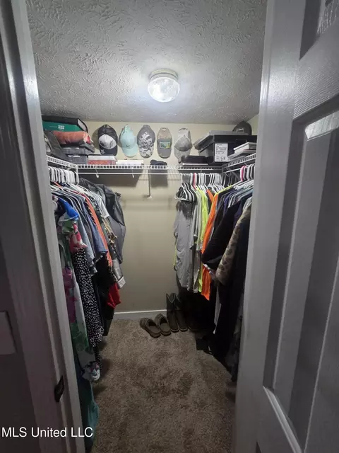 Other - 116 Windchase Dr, Brandon, MS 39042 photo 6 of 12