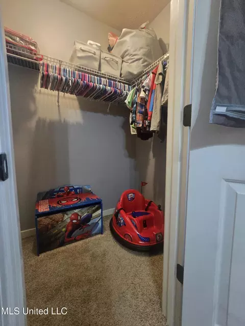 Other - 116 Windchase Dr, Brandon, MS 39042 photo 10 of 12