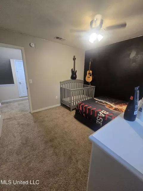 Other - 116 Windchase Dr, Brandon, MS 39042 photo 11 of 12
