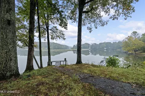 View/Area - 10888 Glen Cairn Cv, Hernando, MS 38632 photo 2 of 2