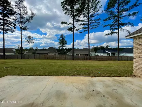 Exterior - 368 Wellstone Pl, Madison, MS 39110 photo 4 of 5