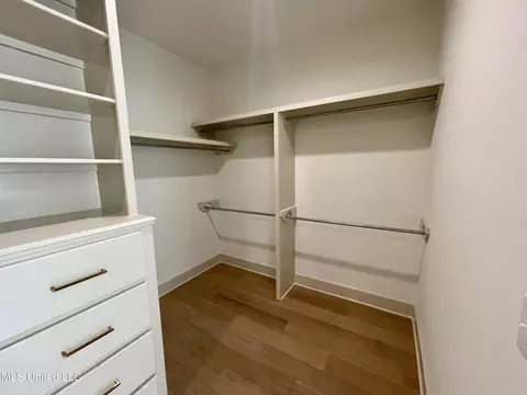 Other - 368 Wellstone Pl, Madison, MS 39110 photo 11 of 12