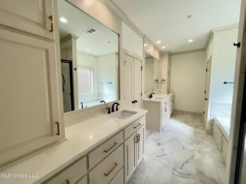 Bath - 368 Wellstone Pl, Madison, MS 39110 photo 3 of 10