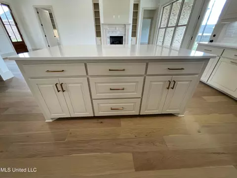 Kitchen - 368 Wellstone Pl, Madison, MS 39110 photo 6 of 8