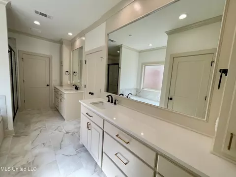 Bath - 368 Wellstone Pl, Madison, MS 39110 photo 5 of 10