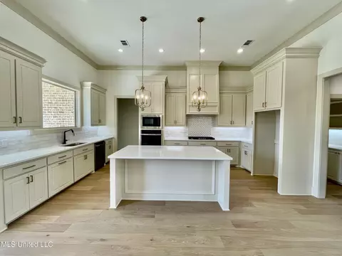 Kitchen - 368 Wellstone Pl, Madison, MS 39110 photo 3 of 8