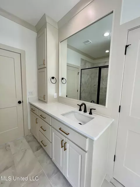 Bath - 368 Wellstone Pl, Madison, MS 39110 photo 2 of 10