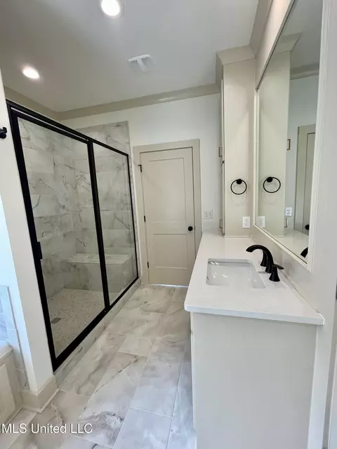 Bath - 368 Wellstone Pl, Madison, MS 39110 photo 6 of 10