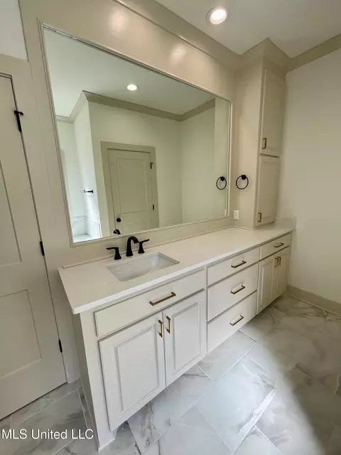 Bath - 368 Wellstone Pl, Madison, MS 39110 photo 1 of 10