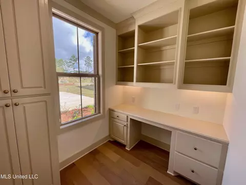 Other - 368 Wellstone Pl, Madison, MS 39110 photo 2 of 12