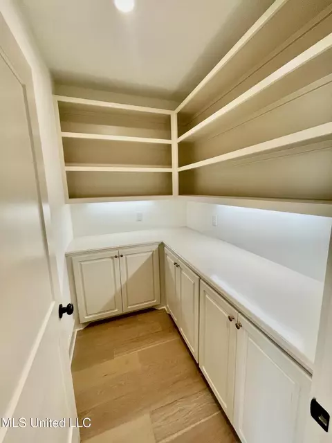 Other - 368 Wellstone Pl, Madison, MS 39110 photo 3 of 12