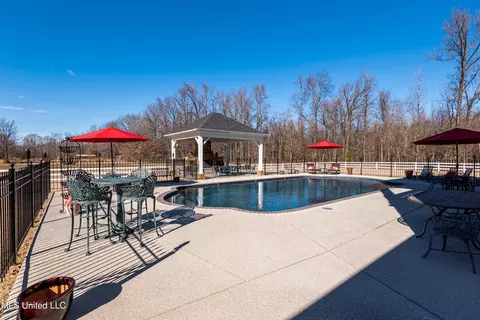 Exterior - 4161 Misty Oaks Ln, Nesbit, MS 38651 photo 15 of 22
