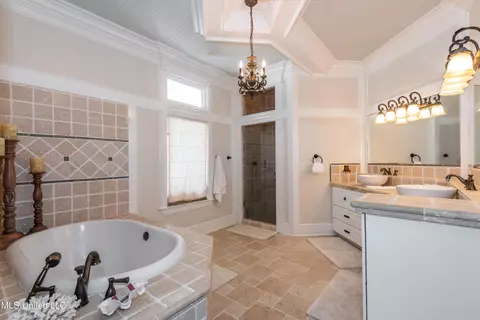 Bath - 4161 Misty Oaks Ln, Nesbit, MS 38651 photo 1 of 5