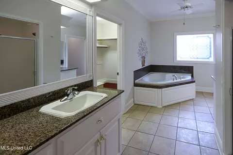 Bath - 406 Roses Bluff Dr, Madison, MS 39110 photo 1 of 5
