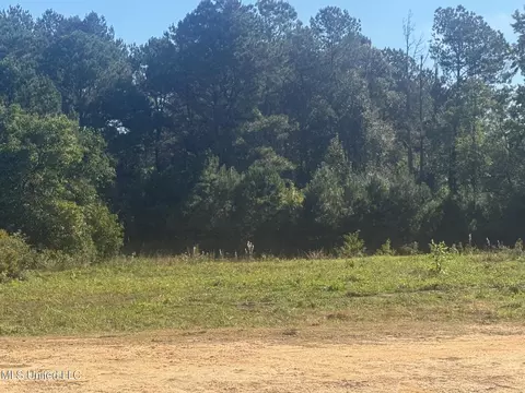 Integrity Road, Mccomb, MS 39648 photo 2