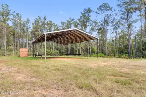 35 Acres Richard Reeves Rd, Lucedale, MS 39452