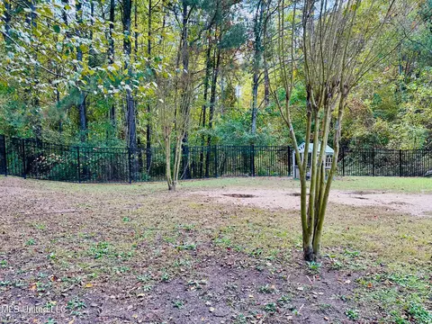 Other - 274 Azalea Ct, Brandon, MS 39047 photo 8 of 8