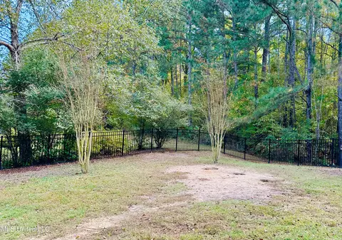 Other - 274 Azalea Ct, Brandon, MS 39047 photo 7 of 8