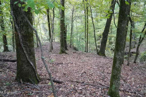 00 Phoenix Rd, Satartia, MS 39162 photo 12
