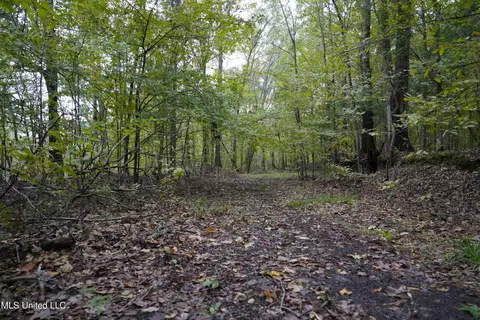 00 Phoenix Rd, Satartia, MS 39162 photo 20