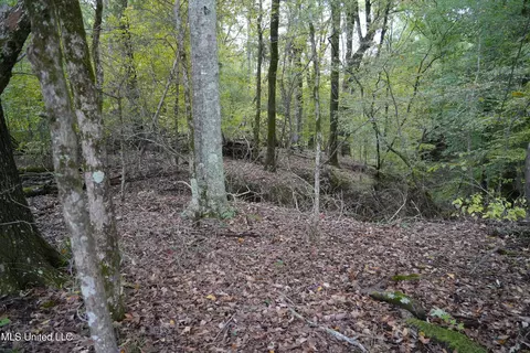 00 Phoenix Rd, Satartia, MS 39162 photo 7