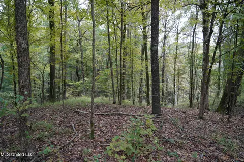00 Phoenix Rd, Satartia, MS 39162 photo 24