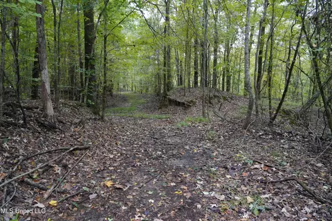 00 Phoenix Rd, Satartia, MS 39162 photo 23