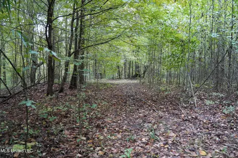 00 Phoenix Rd, Satartia, MS 39162 photo 21