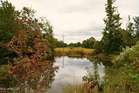 00 Phoenix Rd, Satartia, MS 39162 photo 17
