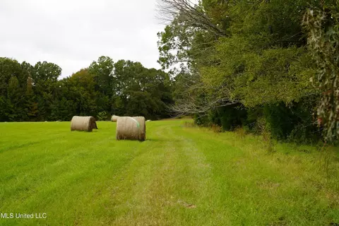 00 Phoenix Rd, Satartia, MS 39162 photo 5
