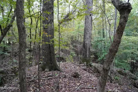 00 Phoenix Rd, Satartia, MS 39162 photo 11
